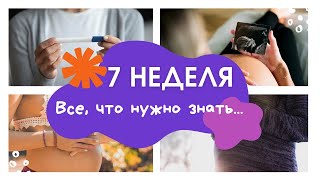 7 неделя беременности: изменения, признаки, особенности, выделения. Календарь беременности