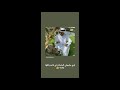 اطول مقطع لدردبج مع باري تيوب جميع مقاطع دردبج