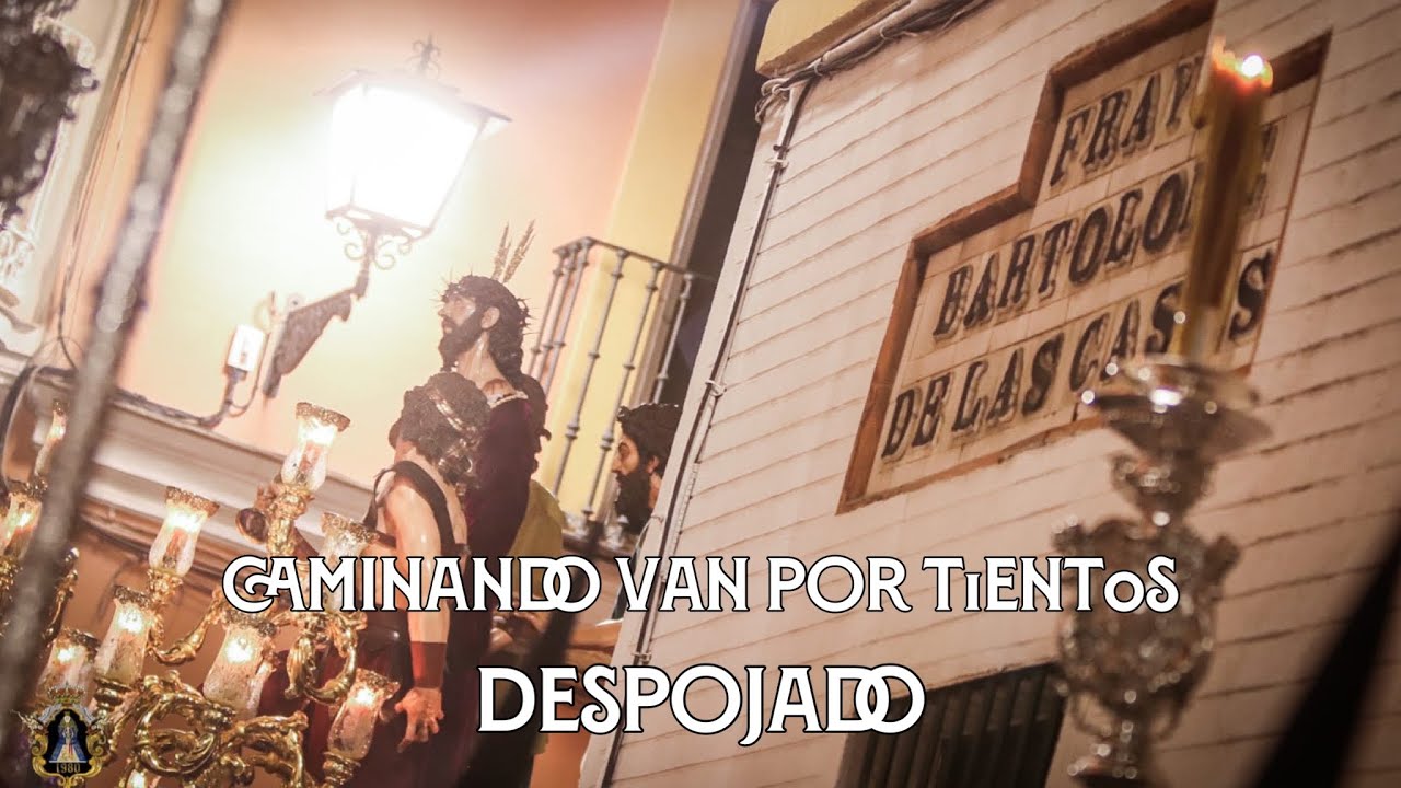 [4K] Caminando van por tientos | Jesús Despojado 2023 | Zaragoza | Virgen de los Reyes