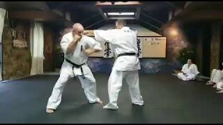 Kickboxing Combinations applied to Full Contact Karate screenshot 3