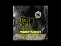 Various artists  party wound summer sampler 2012