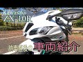 【TS Motovlog #137】ZX-10R 納車直後の車輌紹介 取り付けたパーツなど Kawasaki Ninja いっちゃん　バイク女子　【モトブログ】