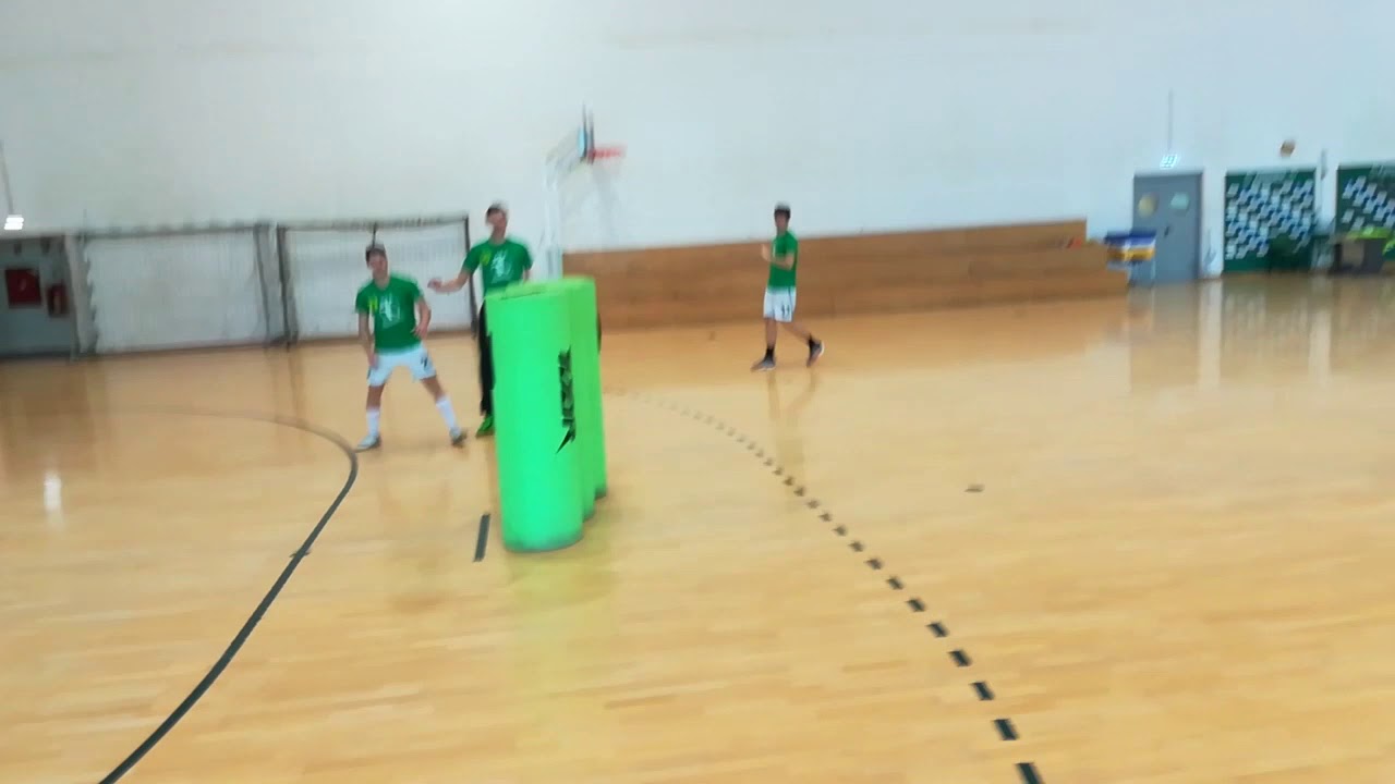 Peripheral Vision Training for Handball Players Decision Exercise