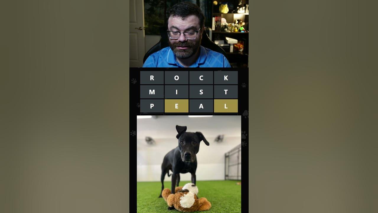 4 Images 1 Mot Niveau 832 What's this dog's name?? #adoptle June 9, 2023 - YouTube