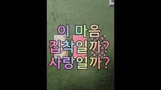 지금 당신이 느끼는 감정 진짜 사랑일까요? 아니면 집착일까요?#타로#미교#미교타로#오늘의운세#데일리#제러널#제너럴리딩#용인#용인타로#집착#사랑#내마음#관계