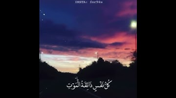 كل نفس ذائقة الموت / القارئ: عبدالرحمن مسعد