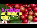 V0106 aratiles antidiabetic fruits