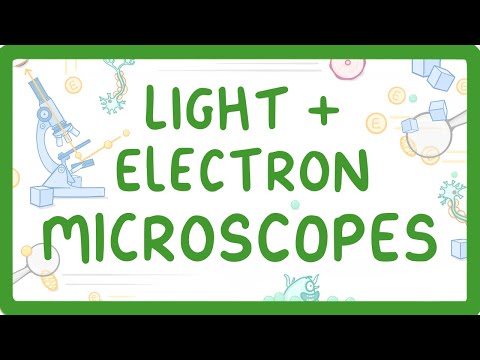 वीडियो: प्रकाश बनाम इलेक्ट्रॉन सूक्ष्मदर्शी द्वारा आवर्धन के किस स्तर को प्राप्त किया जा सकता है?