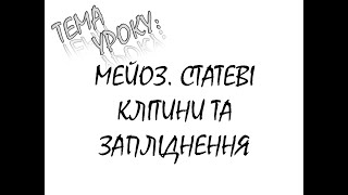 МЕЙОЗ  СТАТЕВІ КЛІТИНИ ТА ЗАПЛІДНЕННЯ