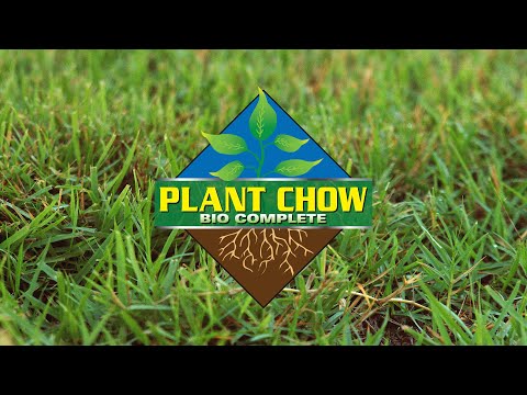 Plant Chow Lawn by Cheltec