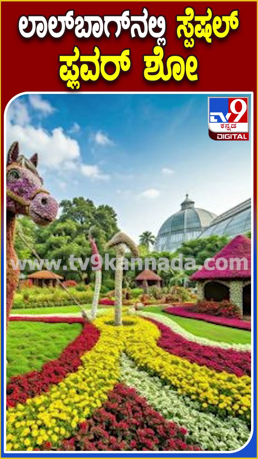 ಇಂದಿನಿಂದ ಫ್ಲವರ್ ಶೋ ಹಿನ್ನೆಲೆ ಪ್ರವಾಸಿಗರನ್ನು ಕೈಬೀಸಿ ಕರೆಯುತ್ತಿದೆ ಸಸ್ಯಕಾಶಿ ಲಾಲ್​ಬಾಗ್ | #TV9D