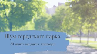 Шум городского парка - звуки природы, пение птиц, шум леса, шум парка, музыка для отдыха