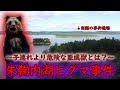 【現地映像あり】朱鞠内湖ヒグマ事件~亜成獣とは?事件の本質に迫る!!