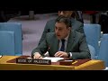 Palestinian Statement 29/DEC/2023 @ UNSC — Ambassador Majed Bamya