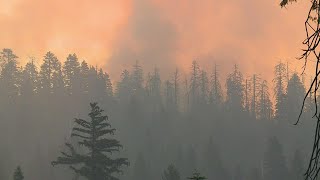 Around the Nation | Massive fire threatening some of the oldest, rarest trees in the world
