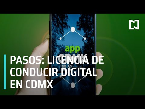 ¿Cómo tramitar la licencia de conducir digital en CDMX? - Despierta