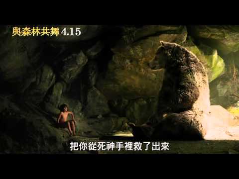 《與森林共舞》精彩片段_棕熊篇 4月15日3D IMAX同步上映