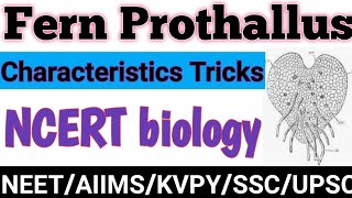 #FernProthallus|Characteristic of ferns prothallus|Trick to learn fern prothallus|Class11|NEET|NCERT