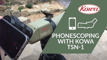 iPhone Digiscoping with Kowa  TSN-1 - Kowa System in Action!