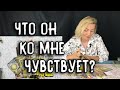 ЧТО ОН КО МНЕ ЧУВСТВУЕТ? Таро онлайн расклад