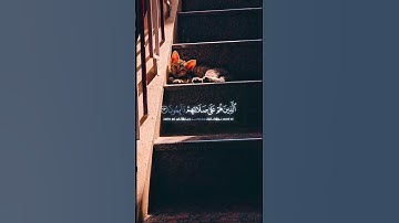 القران الكريم ❤️💯 صوت الجميلة قارئ ☪️ #اكسبلور #الرحمن #دويتو