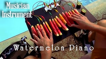 Man playing music on watermelon 🔥🤩 | Playtronica Music | touch me