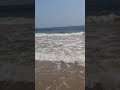 Sea waves trendingjamalkudu  animalmasti viral shortsfeed shorts