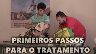 Barão Pode Ter Que Ficar Isolado Dos Outros Cães Por Um Tempo
