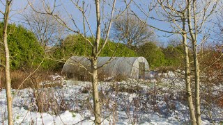 Persephone Period & Hoop House Seed Starting
