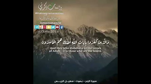 تلاوة خاشعة.. القارئ: سهيل الريس.. #واتساب_ذكرني..