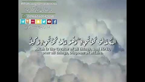 تلاوة خاشعة.. القارئ: سهيل الريس.. #واتساب_ذكرني..