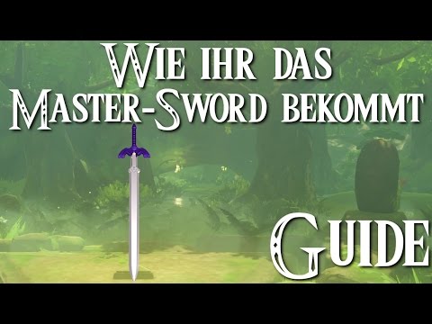 Video: Wo befindet sich das Meisterschwert?