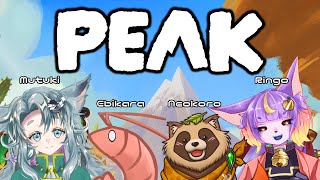 【#PEAK】羅針盤は山頂を指した【ねおころ丸】