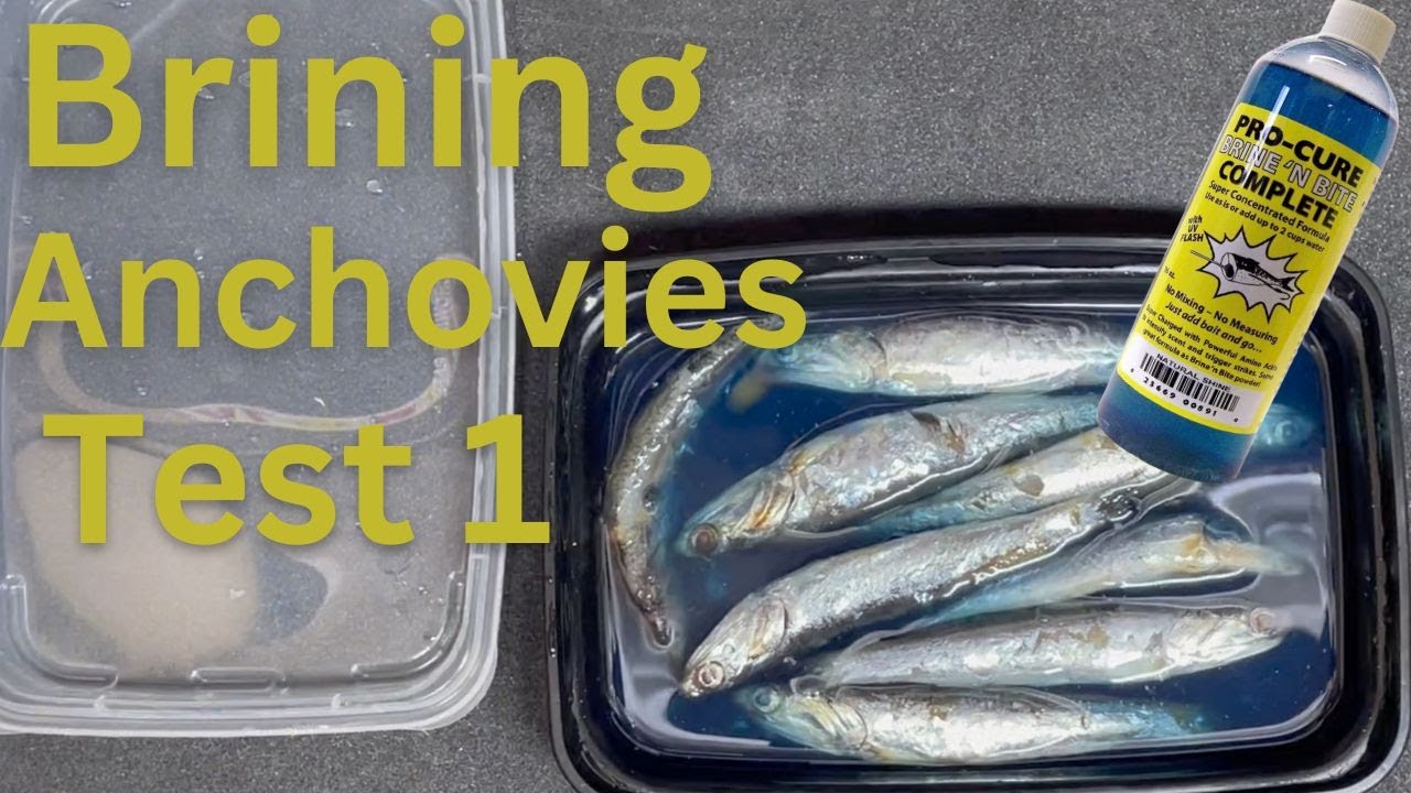 Brining, Is it Worth it? - YouTube
