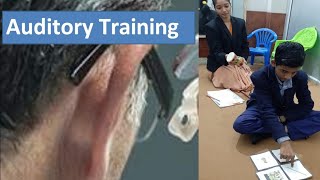 Auditory Training , Role of Hearing and Role of Hearing in learning