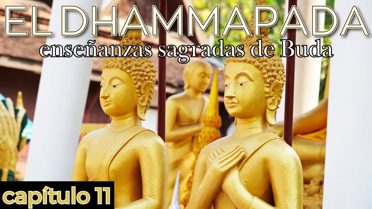 El Dhammapada - enseñanzas de Buda - Capítulo 11: la vejez - YouTube