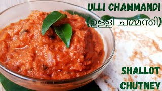 Ulli chammandi| ഉള്ളി ചമ്മന്തി | Easy Shallot chutney| cooking video-22