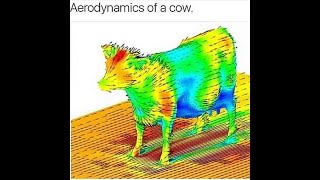 Science diagrams that look like shitposts with OMORI music part 1