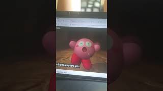 Sillydillo
