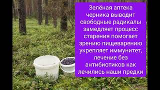 Нетрадиционная медицина,  советы бабушек. Зелёная аптека