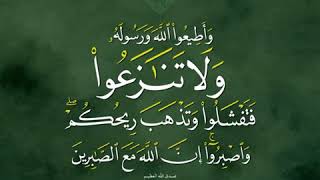 وَأَطِيعُوا اللَّهَ وَرَسُولَهُ وَلَا تَنَازَعُوا فَتَفْشَلُوا وَتَذْهَبَ رِيحُكُمْ ۖ وَاصْبِرُوا ۚ