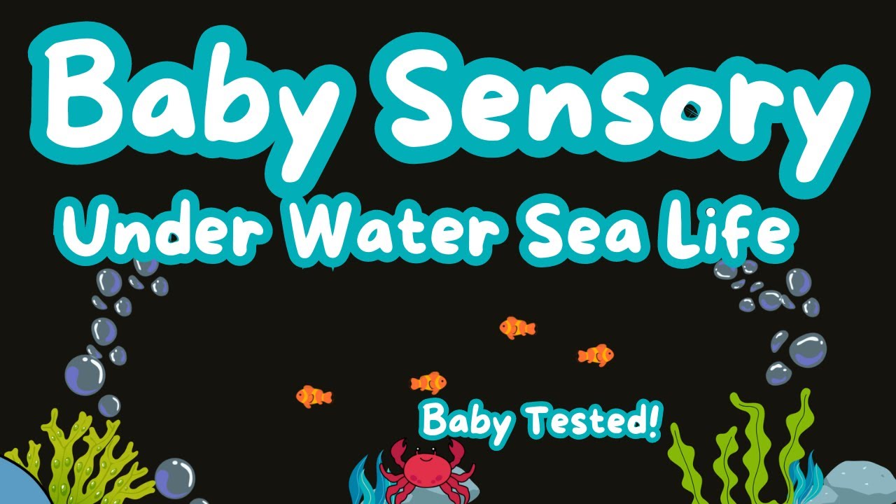 Baby Eye Tracking Video| Sea Life with Cute Characters | Relaxing Baby Music (0–3 months)