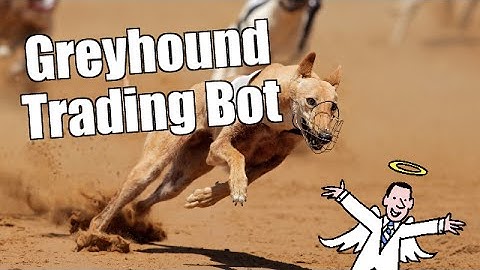Creating a Betfair greyhound trading bot