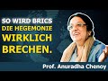 Der BRICS-Plan für eine neue Finanzarchitektur | Prof. Anu Chenoy