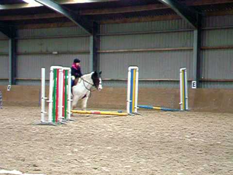 Jodi Jumping and Cantering on Mrs Jig
