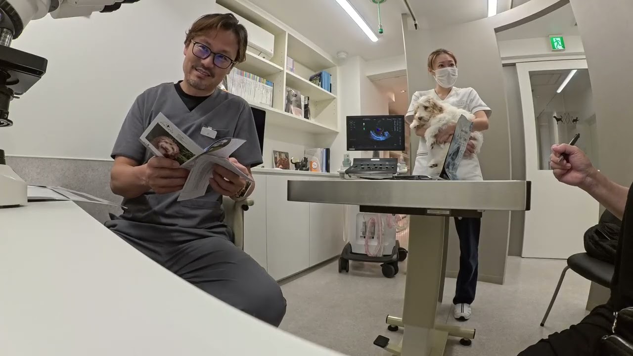 【クリニック編】メルシー、カリスマ獣医師ツジノボル先生に診てもらいました🐶🩺✨