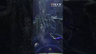 "Plunge into the depths of luxury at Deep Dive Dubai, the world’s deepest dive pool! 🌊  #dubai