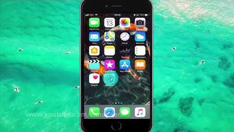 How to enable or disable Labels on iPhone 6