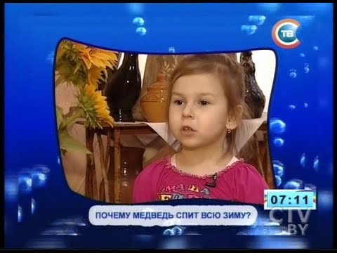 CTV.BY: Дети говорят: почему медведь спит всю зиму?