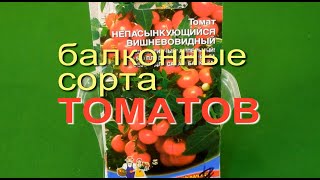 КАРЛИКОВЫЕ ТОМАТЫ! Нет дачи - посади на балконе! СОВЕТЫ от ЗЕЛЕНОГО ОГОРОДА!